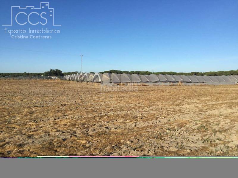 Foto 99bb07d2-ef8a-4b37-96e1-a1e6f83f0f9e. Propriété dans Almonte Almonte