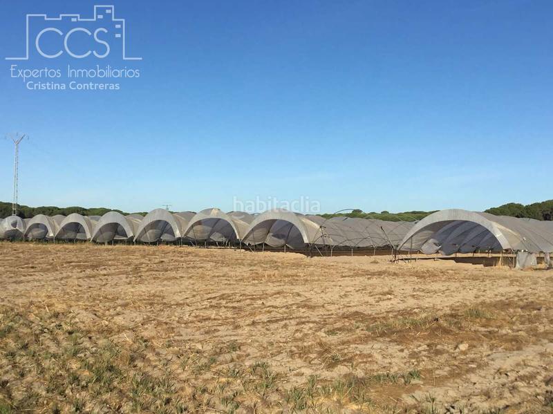 Foto a238a2c3-f2fb-4bee-83e0-f66fc05e26ce. Propriété dans Almonte Almonte