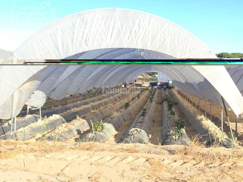 Foto a2a4c52e-7635-4c42-85a0-dacb0d86b072. Propriété dans Almonte Almonte