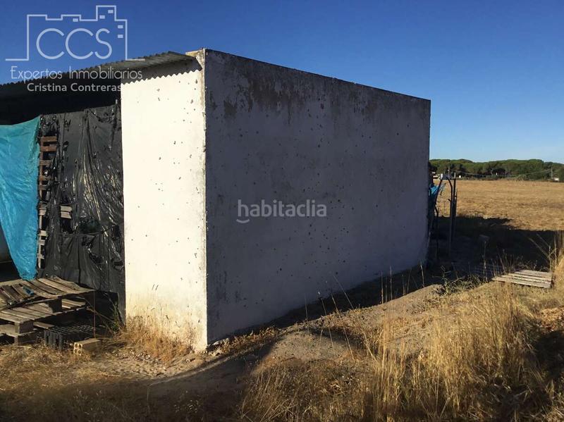 Foto ba363b94-efbb-48c0-87dd-9ef8c5f4e655. Propriété dans Almonte Almonte