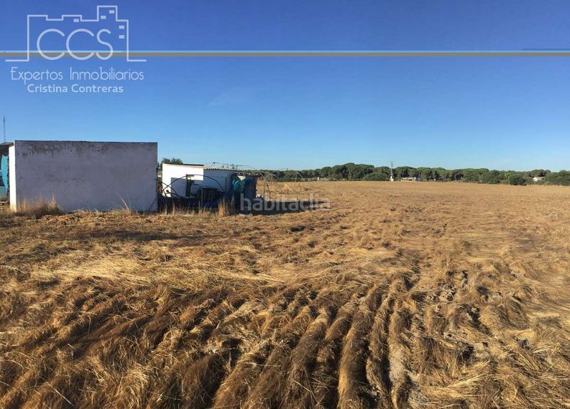 Foto c6d8c756-4666-4624-abef-38e90fe6ff3e. Finca rústica a Almonte Almonte