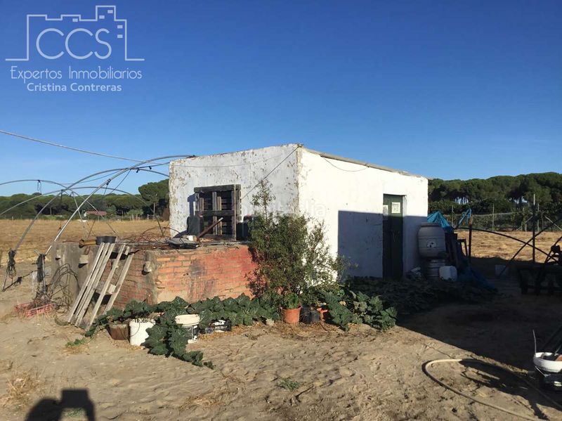 Foto d737e24f-4fb6-47dc-925d-0da00a14d49c. Finca rústica a Almonte Almonte