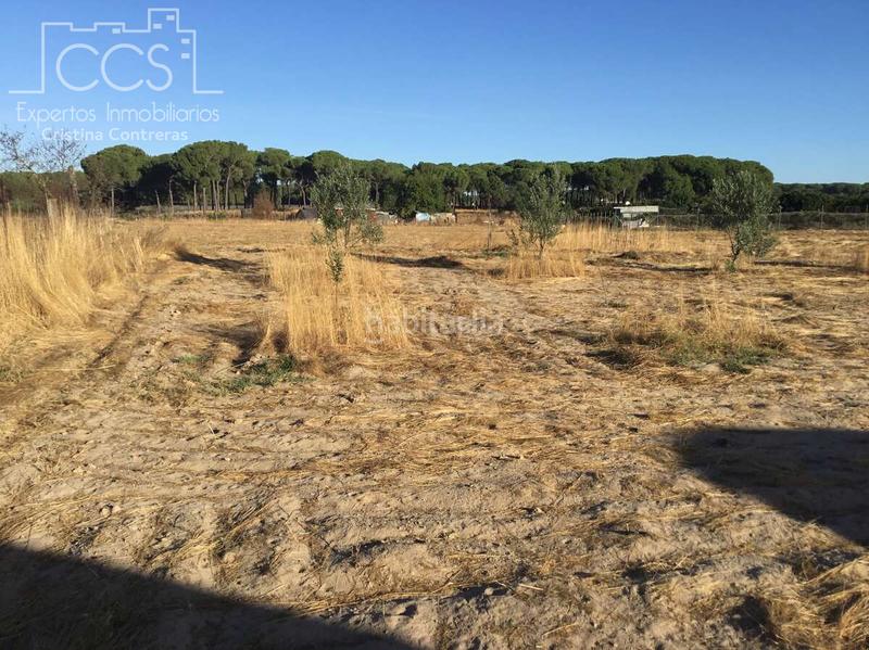 Foto e46c2915-4732-4e4b-93ff-0b824f49c0c5. Propriété dans Almonte Almonte