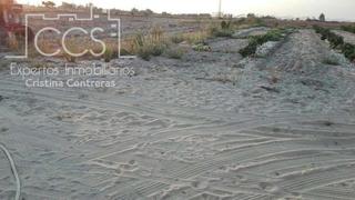Finca rústica a Almonte. Venta de finca en concesión de 4 ha de regadío en almonte.