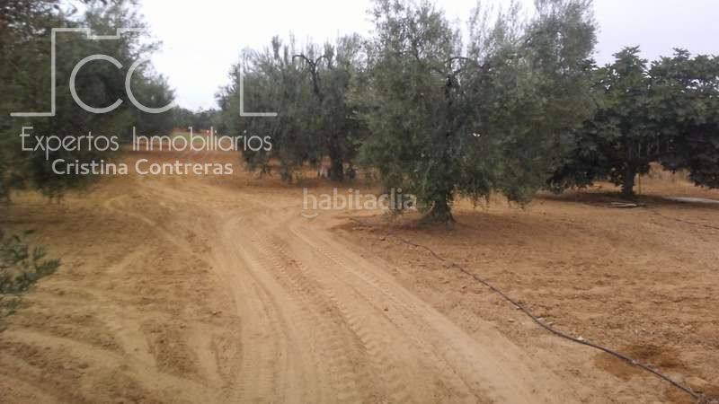 Foto 49f7a11b-11ab-4cbf-950c-f923f36e3e77. Finca rústica a Almonte Almonte