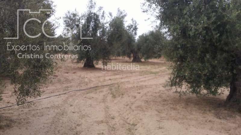 Foto 6fa8ae76-d2fc-461f-8219-0891032cd954. Finca rústica a Almonte Almonte