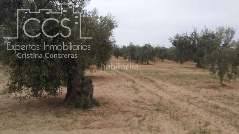 Foto bf2aeab8-d9be-4bcd-8c85-5d82b15a6eab. Finca rústica a Almonte Almonte