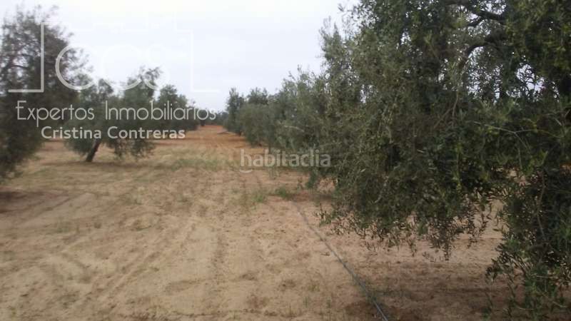 Foto c6a59b10-1e1f-4e3b-9a3e-a658eff993d3. Finca rústica a Almonte Almonte
