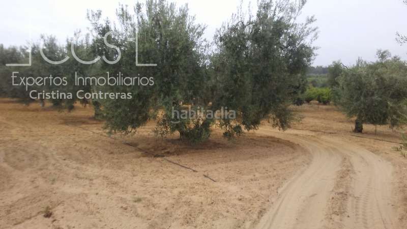 Foto d8568ae8-0a85-4760-b7b6-0e1d1aeba592. Finca rústica a Almonte Almonte