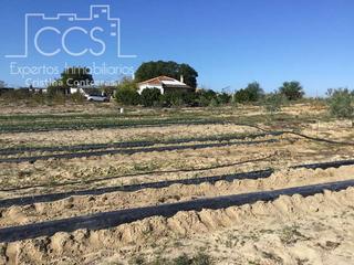 Mas à Almonte. Venta de finca en concesión, de 1 ha. de terreno con 90 m2 const