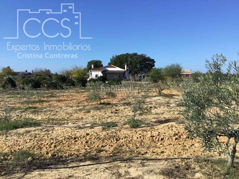 Foto 2c1539e2-ebd6-4bb7-95b2-646a1e0d95fc. Masía venta de finca en concesión, de 1 ha. de terreno con 90 m2 construidos , en Almonte