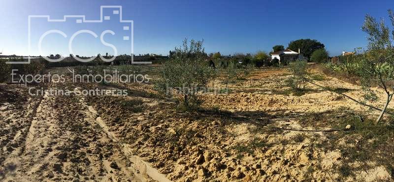 Foto 39bffe5e-f599-436f-a558-46839dcc1e9b. Masía venta de finca en concesión, de 1 ha. de terreno con 90 m2 construidos , en Almonte