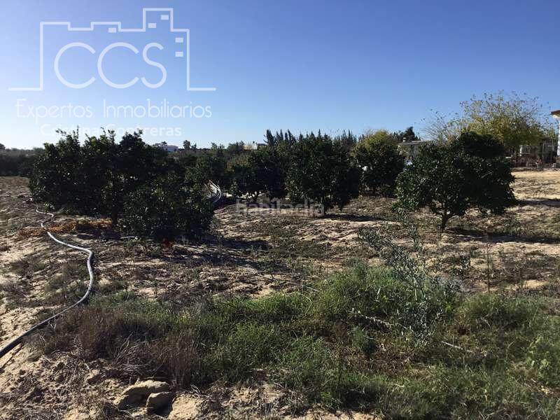 Foto 537eaefb-942e-4c2b-9c10-7291b74f4469. Masía venta de finca en concesión, de 1 ha. de terreno con 90 m2 construidos , en Almonte
