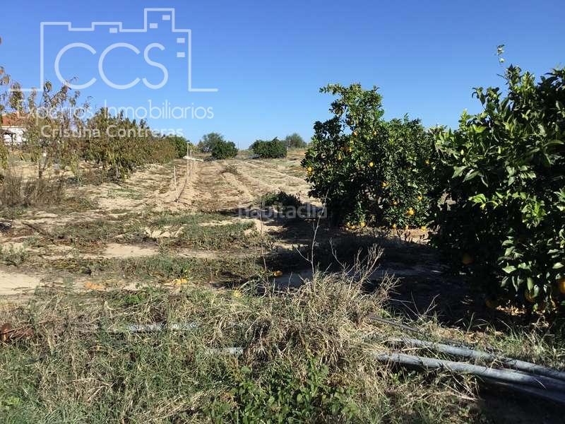 Foto 6a8306da-75d9-4f2f-aabe-eadf80d9d9a1. Masía venta de finca en concesión, de 1 ha. de terreno con 90 m2 construidos , en Almonte