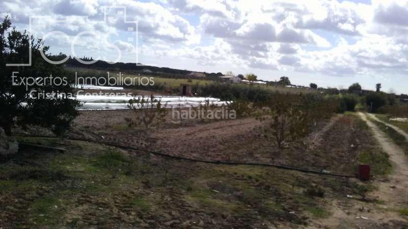 Foto 7d660270-d07f-455c-9058-fc03fe2d5d48. Masía venta de finca en concesión, de 1 ha. de terreno con 90 m2 construidos , en Almonte