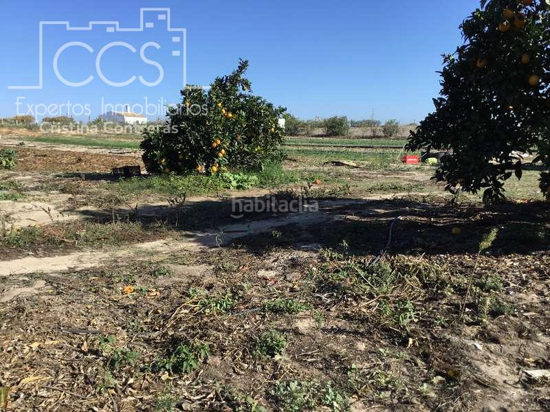 Foto 8610d9fe-77c9-4278-bdd0-9fed9ace2b71. Masía venta de finca en concesión, de 1 ha. de terreno con 90 m2 construidos , en Almonte