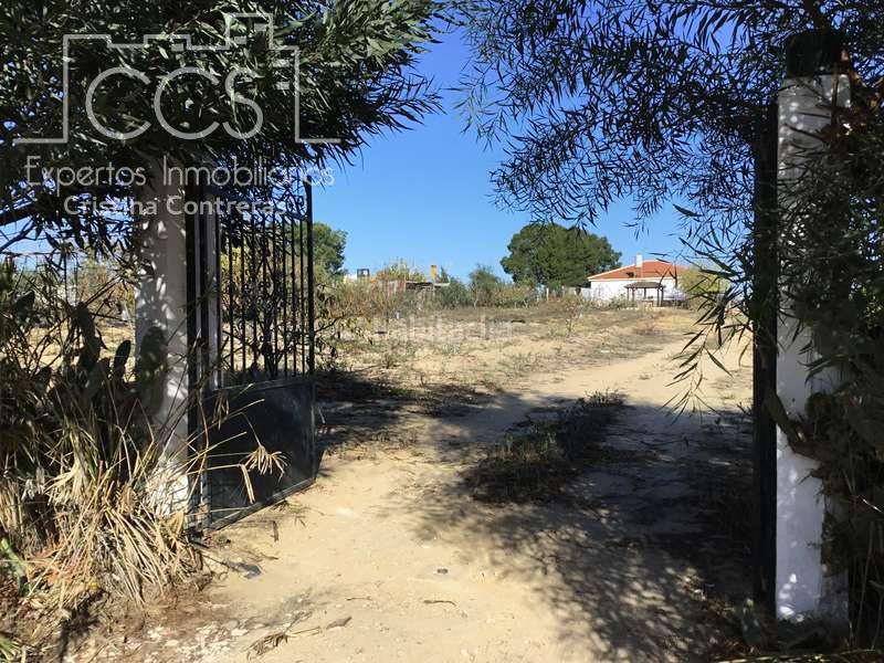 Foto d07f7da9-98fe-4e24-9d3c-5dcf92fc64f7. Masía venta de finca en concesión, de 1 ha. de terreno con 90 m2 construidos , en Almonte