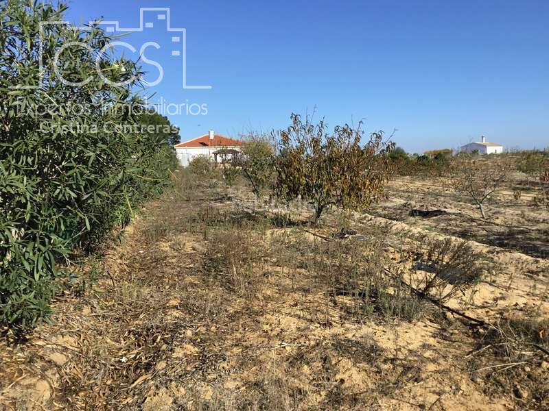 Foto f2d2b2f6-3563-4573-b902-3d93f9f7131c. Masía venta de finca en concesión, de 1 ha. de terreno con 90 m2 construidos , en Almonte