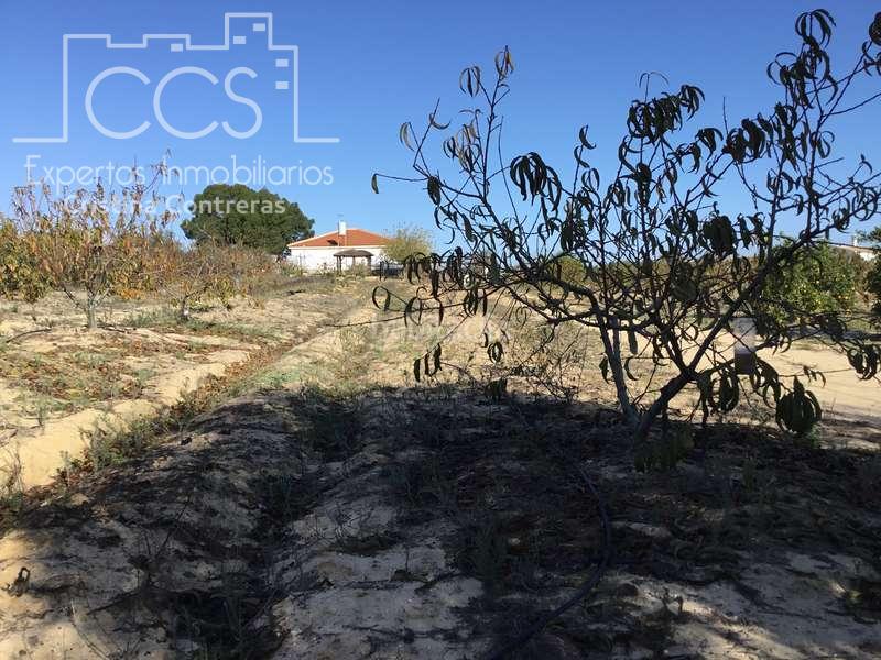 Foto f86bbd4d-14d2-4aae-9f1d-dccd7f8a99f1. Masía venta de finca en concesión, de 1 ha. de terreno con 90 m2 construidos , en Almonte