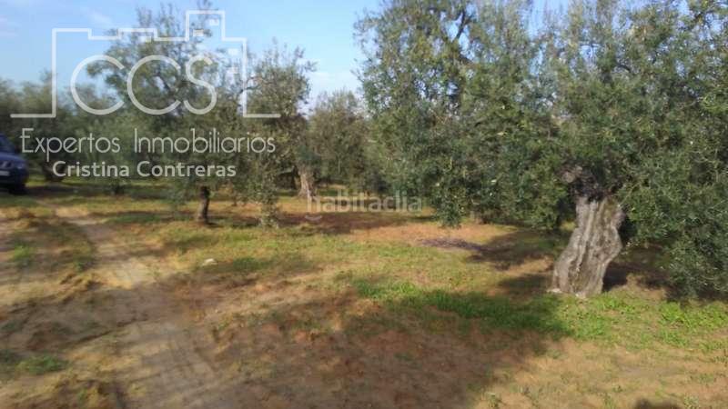 Foto 0f8aaa68-164b-46ea-8702-ba12f1173515. Landgut in Almonte Almonte