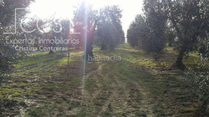 Foto 14ca8fa1-318e-43fc-829e-2f041622f3d9. Landgut in Almonte Almonte