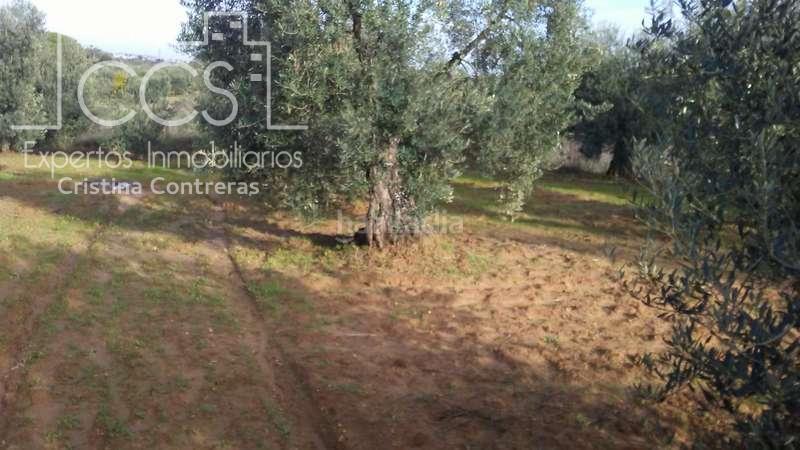 Foto 28135a18-0f56-471d-ab55-aeb95a16608d. Landgut in Almonte Almonte