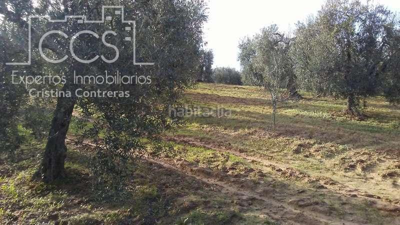 Foto 52c69dec-15dd-480a-994c-a578966490e7. Landgut in Almonte Almonte