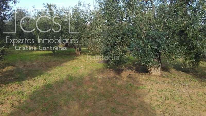 Foto 611c0627-d331-43ac-892c-f503c21f22f0. Landgut in Almonte Almonte