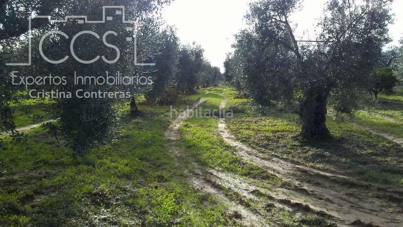 Foto 86730552-5caa-444a-b039-6620b6dd71e9. Landgut in Almonte Almonte