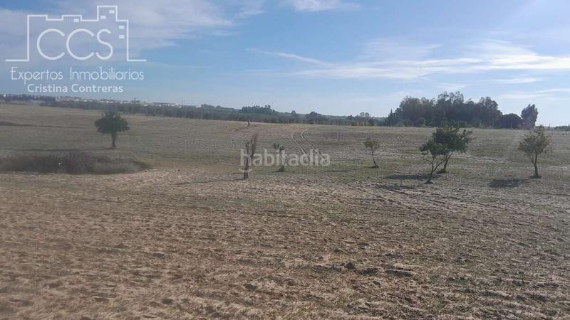 Foto 0d61f85c-ed9a-4498-ab7e-5bd452702b18. Finca rústica venta de finca en propiedad de 10ha, huelva en Almonte
