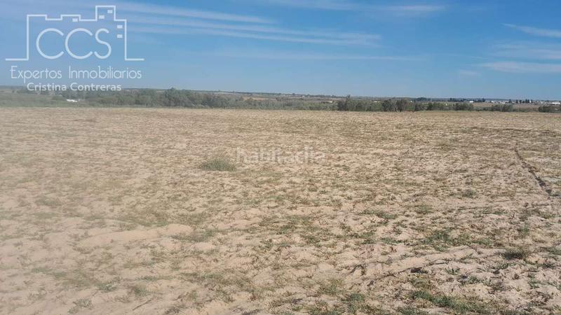 Foto 2cec59bb-b9b5-44d9-8145-3e8fd1cf0283. Finca rústica venta de finca en propiedad de 10ha, huelva en Almonte