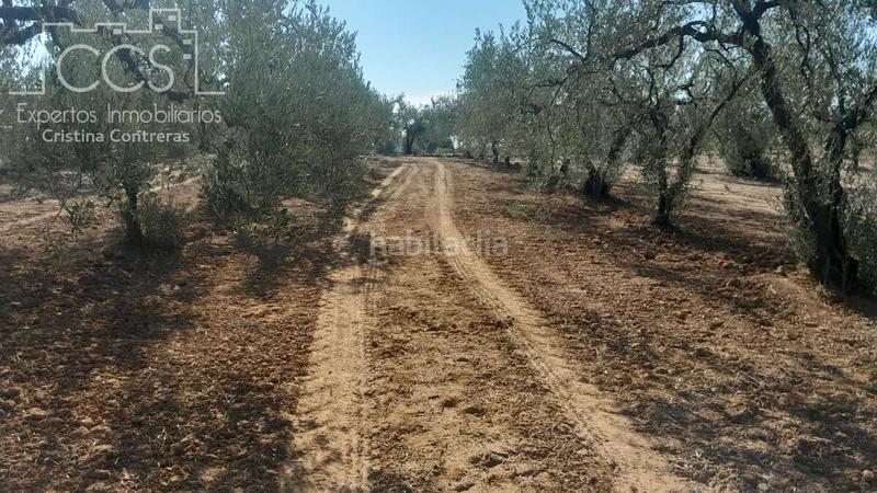 Foto 3e355b8a-6691-40ff-a430-101c59f16eb0. Finca rústica venta de finca en propiedad de 10ha, huelva en Almonte