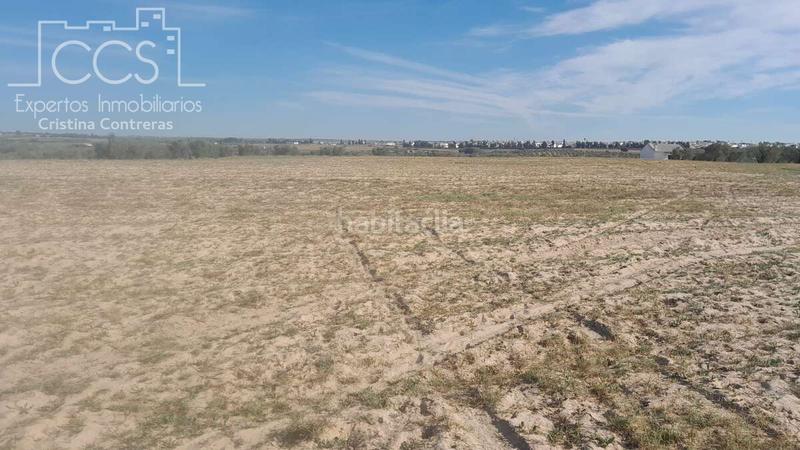 Foto 5d21cb05-8d32-4a93-8d94-fe10e8d62bb3. Finca rústica a Almonte Almonte