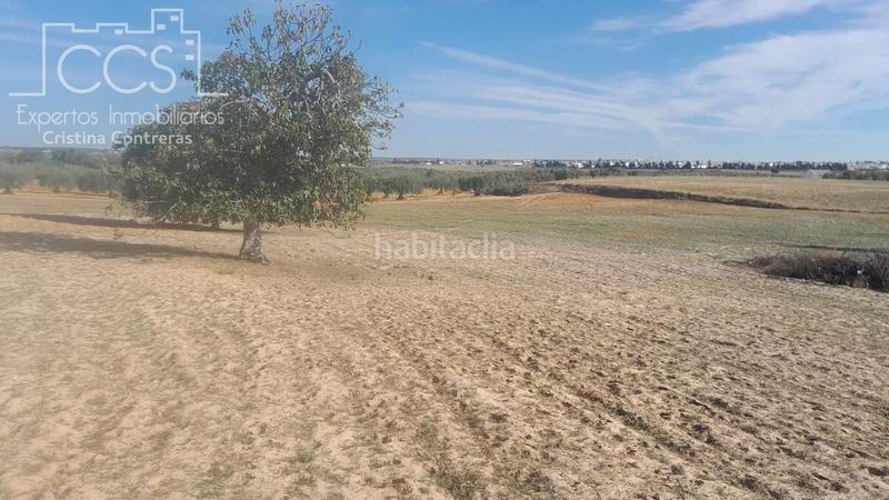 Foto 6cf6e5ee-9def-44d7-949a-ae198f5626e1. Finca rústica a Almonte Almonte