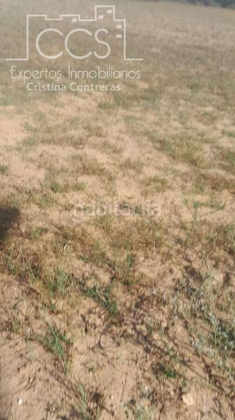 Foto 9715b5f0-cb7b-4884-b84f-8bd11c5aa6b6. Finca rústica venta de finca en propiedad de 10ha, huelva en Almonte