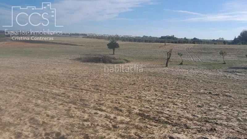 Foto a0b94870-a221-4f4d-98a8-05e9525d48e1. Finca rústica a Almonte Almonte