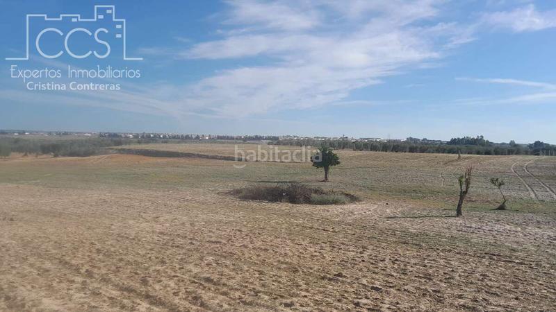 Foto a36b291c-fc19-4d0c-bbbc-9ab6bbb71543. Finca rústica venta de finca en propiedad de 10ha, huelva en Almonte