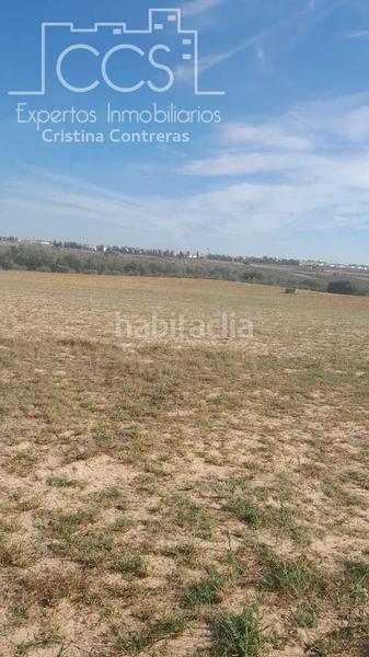 Foto ba26cf85-1caf-47f6-9669-3805e72d5028. Finca rústica venta de finca en propiedad de 10ha, huelva en Almonte