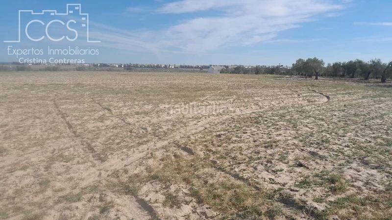 Foto bb2cfee9-bf78-4fcf-88fd-279aa78885d3. Finca rústica venta de finca en propiedad de 10ha, huelva en Almonte