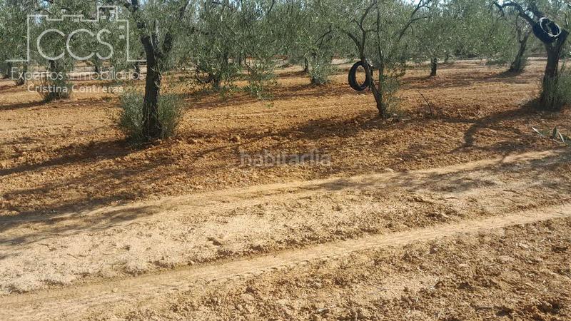 Foto bc4e297f-4f29-4571-a2b8-064a260f24c9. Finca rústica a Almonte Almonte