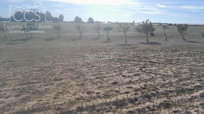 Foto cc6eddf6-c771-4567-af9f-5e3d1580e24b. Finca rústica a Almonte Almonte