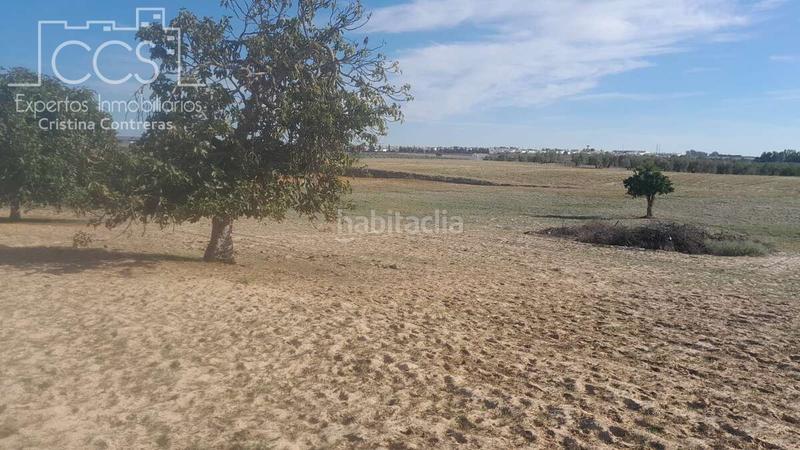 Foto cf72da41-6770-40b5-9d93-81e977754580. Finca rústica a Almonte Almonte