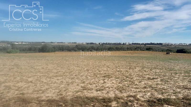 Foto d6625dfd-e05a-462f-b33b-783eddeea1eb. Finca rústica a Almonte Almonte