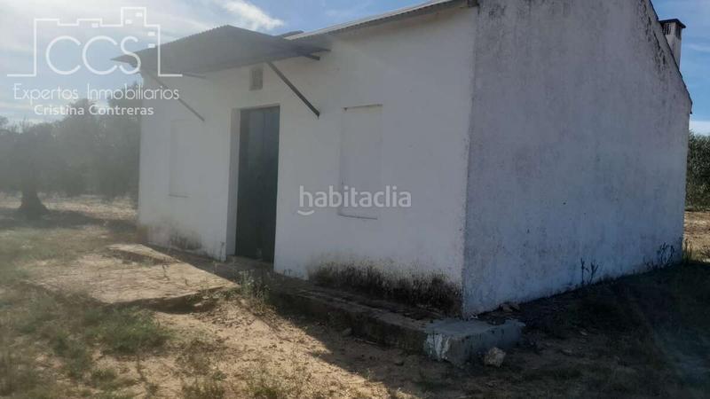 Foto df0bb948-78e0-4211-bcd8-8f18cb63e65b. Finca rústica venta de finca en propiedad de 10ha, huelva en Almonte