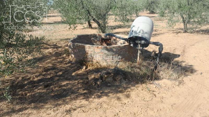 Foto ee2129ae-1ecd-4f33-9c75-addeed4b67b8. Finca rústica venta de finca en propiedad de 10ha, huelva en Almonte
