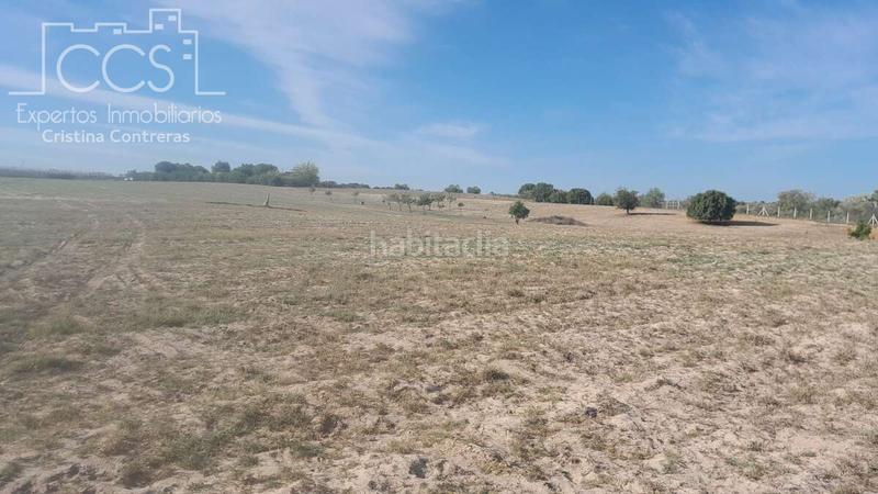 Foto f2c902c2-46a4-4445-8eb4-65d2062fcf09. Finca rústica a Almonte Almonte