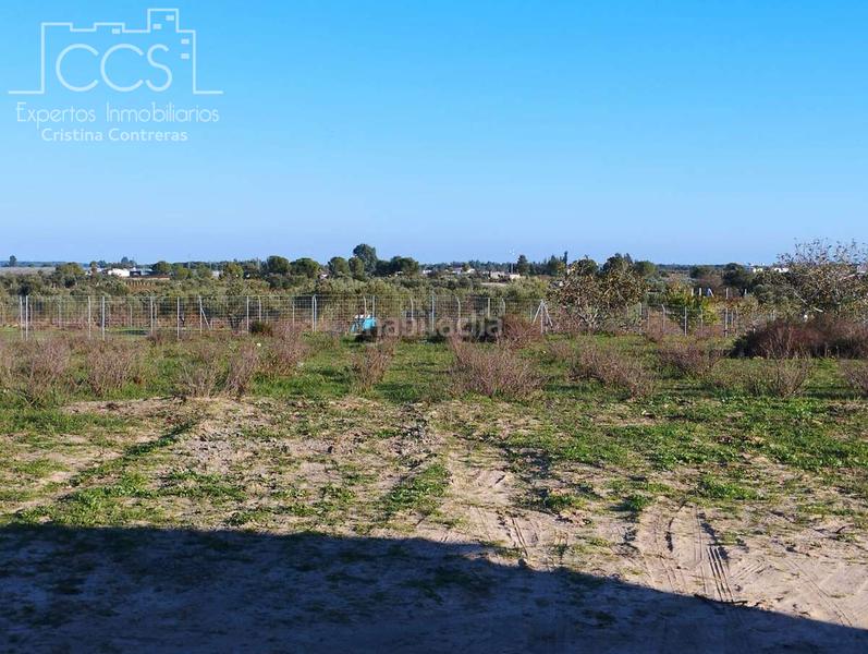Foto c92951c9-0a71-423a-a08d-2018fcbd19f7. Masia a Almonte Almonte