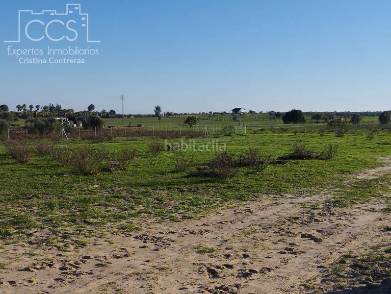 Foto e2b50c0f-658c-4ddb-9ba2-81f23badb7d6. Masia a Almonte Almonte