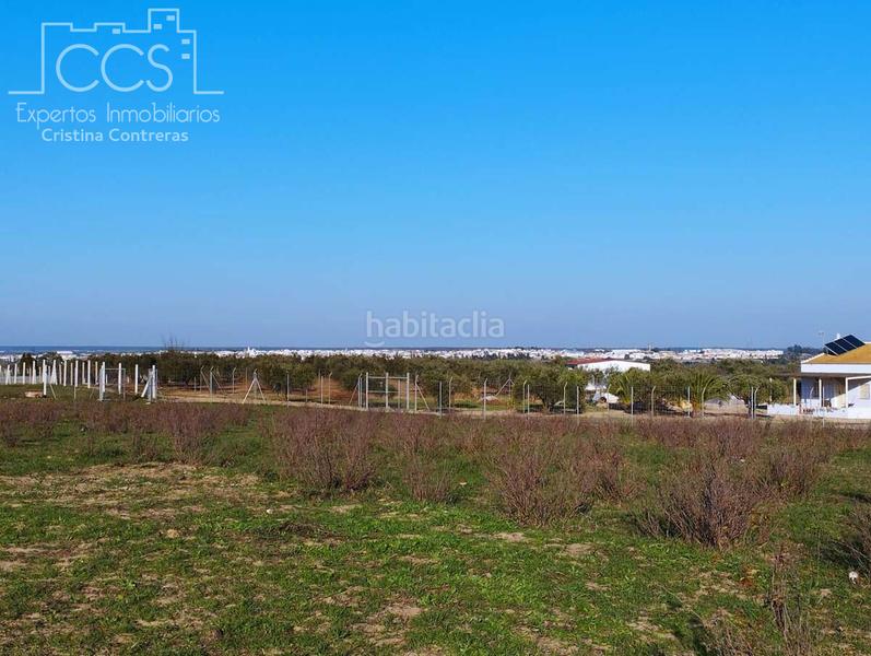 Foto fa408aa8-370a-47cd-a39b-dd1d59377f12. Masia a Almonte Almonte