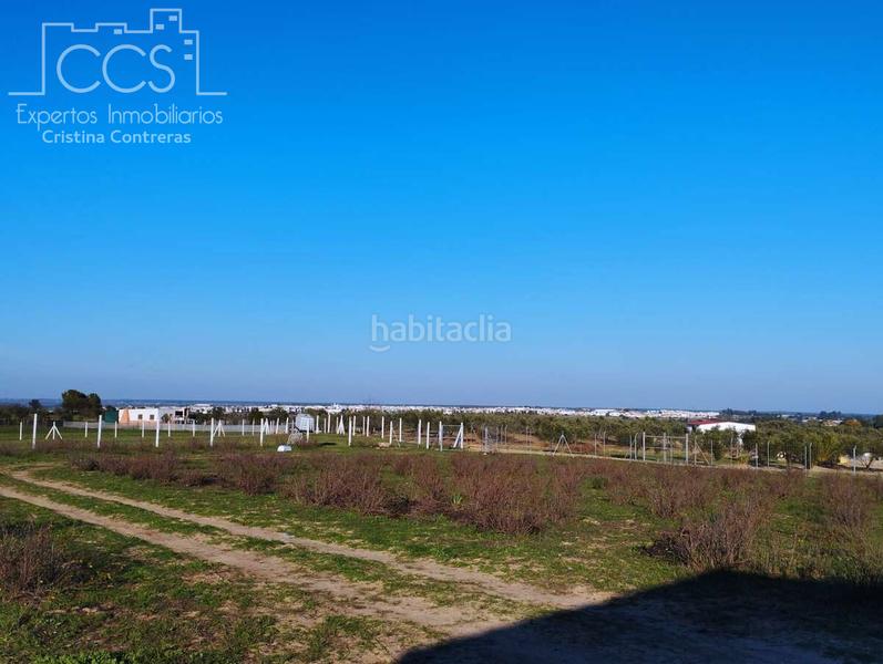 Foto ff87fbe6-23d8-45f1-b43f-2ebb1c99bc27. Masia a Almonte Almonte